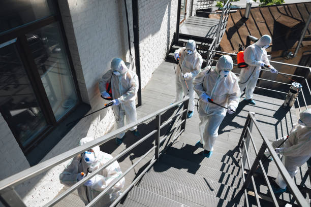 Mold Documentation for Insurance Claims in Brices Creek, NC