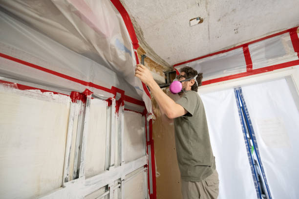 Best Mold Prevention Services  in Brices Creek, NC